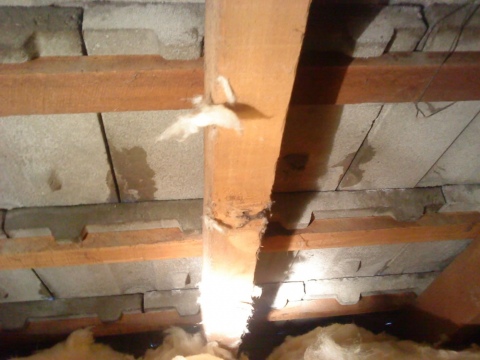 Leak Repairs - Hamilton & Waikato