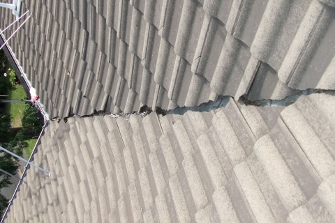 Work Camera 007 1000 Wide