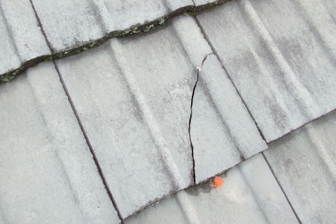 Leak Repairs - Hamilton & Waikato