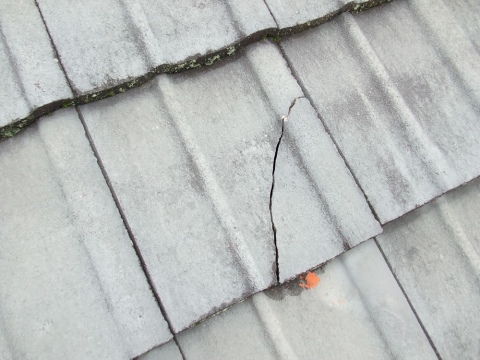 Leak Repairs - Hamilton & Waikato