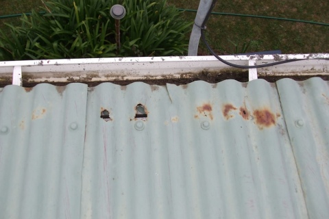 Work Camera 020 1000 Wide