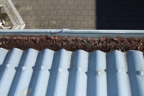 Work Camera 034 1000 Wide