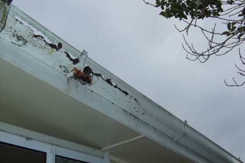 Work Camera 051 1000 Wide